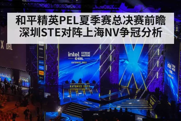 和平精英PEL夏季赛总决赛前瞻 深圳STE对阵上海NV争冠分析